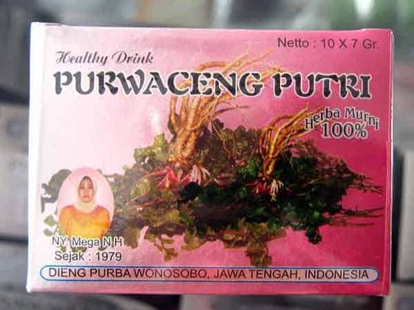 Purwaceng, 1. Carica, 2. Purwaceng, 3. Keripik Tempe Kemul, 4. Kacang, 5. Keripik Jamur, 6. Opak Singkong, 7. Sagon, 8. Dendeng Gepuk, 9. Teh Tambi