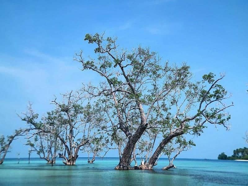 Pantai Elyora, 1. Pantai Pulau Ranoh, 2. Pantai Pulau Abang, 3. Pantai Pulau Mubut Darat, 4. Pantai Pulau Tunjuk, 5. Pantai Permata Pulau Subang Mas, 6. Pantai Elyora, 7. Pantai Tegar Putri, 8. Pantai Mirota, 9. Pantai Semandore, 10. Pantai Pulau Petong