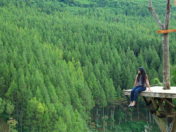 Sky Tree, Wahana dan Spot Populer di The Lodge Maribaya, Fasilitas The Lodge Maribaya, Harga Tiket Masuk dan Jam Operasional The Lodge Maribaya, Alamat dan Akses Transportasi ke The Lodge Maribaya, Hotel Sekitar The Lodge Maribaya