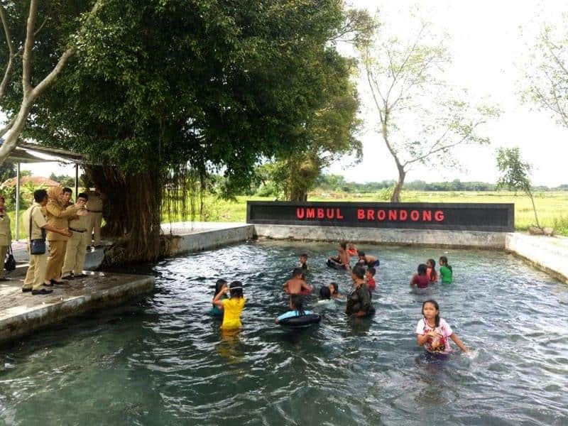 Umbul Brondong, 1. Umbul Ponggok, 2. Umbul Ingas Cokro, 3. Umbul Sigedang, 4. Umbul Kapiler, 5. Umbul Manten, 6. Umbul Pelem, 7. Umbul Nilo, 8. Umbul Brintik, 9. Umbul Gedaren, 10. Umbul Brondong