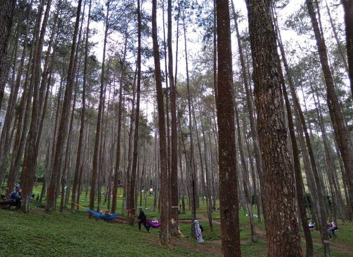 Wana Wisata Batu Kuda, Spot Menarik di Gunung Manglayang, Fasilitas, Harga Tiket Masuk dan Jam Operasional, Alamat dan Akses Transportasi, Penginapan Sekitar Gunung Manglayang