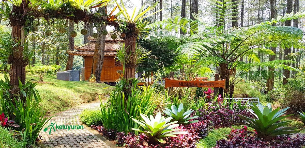 Alamat dan Akses Transportasi Orchid Forest, Wahana atau Spot Populer di Orchid Forest Cikole, Harga Tiket dan Jam Operasional Orchid Forest , Fasilitas Orchid Forest , Alamat dan Akses Transportasi Orchid Forest, Hotel di Sekitar Orchid Forest Cikole