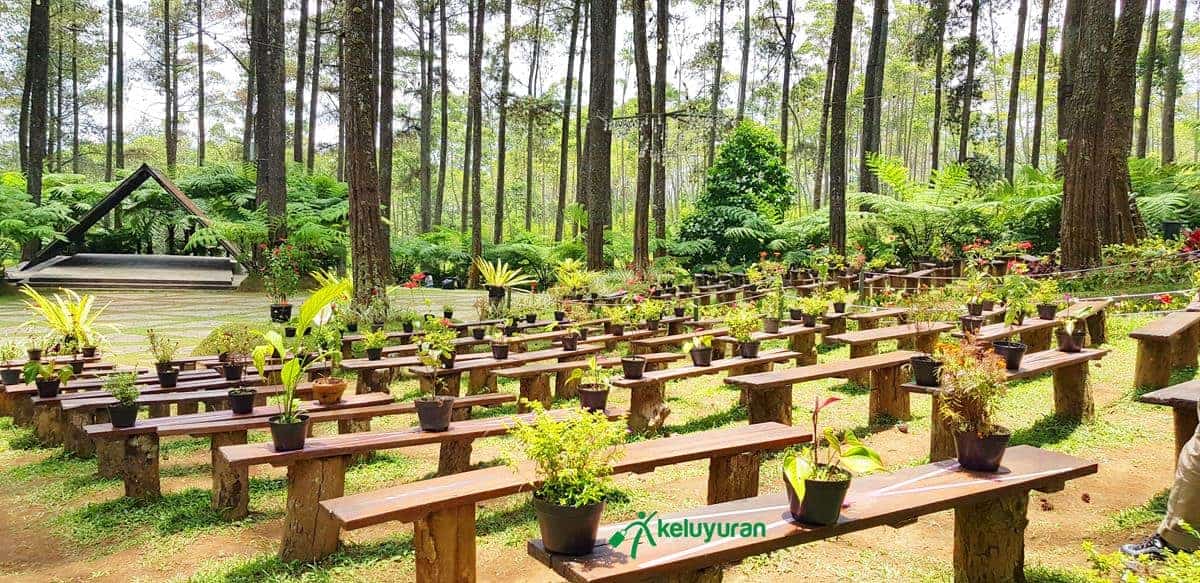Amfiteater, Wahana atau Spot Populer di Orchid Forest Cikole, Harga Tiket dan Jam Operasional Orchid Forest , Fasilitas Orchid Forest , Alamat dan Akses Transportasi Orchid Forest, Hotel di Sekitar Orchid Forest Cikole