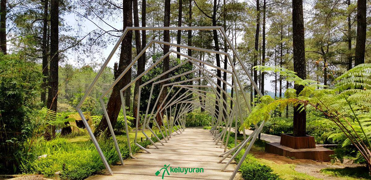 Spot Foto, Wahana atau Spot Populer di Orchid Forest Cikole, Harga Tiket dan Jam Operasional Orchid Forest , Fasilitas Orchid Forest , Alamat dan Akses Transportasi Orchid Forest, Hotel di Sekitar Orchid Forest Cikole