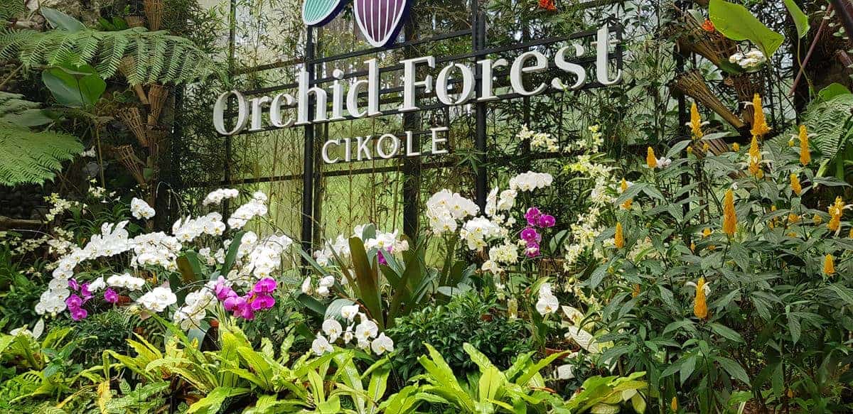 Orchid House, Wahana atau Spot Populer di Orchid Forest Cikole, Harga Tiket dan Jam Operasional Orchid Forest , Fasilitas Orchid Forest , Alamat dan Akses Transportasi Orchid Forest, Hotel di Sekitar Orchid Forest Cikole