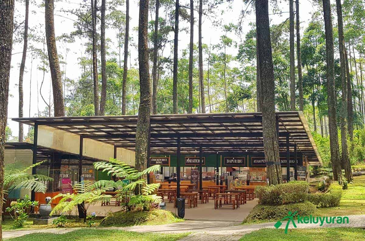 Fasilitas Orchid Forest , Wahana atau Spot Populer di Orchid Forest Cikole, Harga Tiket dan Jam Operasional Orchid Forest , Fasilitas Orchid Forest , Alamat dan Akses Transportasi Orchid Forest, Hotel di Sekitar Orchid Forest Cikole