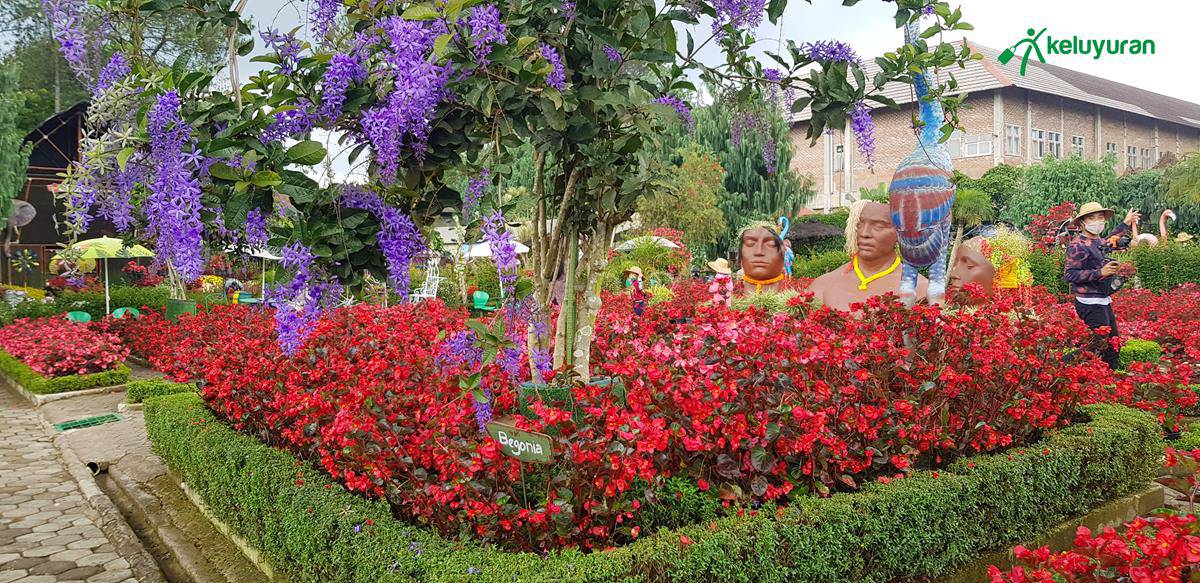 Hotel di Sekitar Taman Begonia Lembang, Wahana dan Spot Menarik di Taman Begonia Lembang, Harga Tiket dan Jam Operasional, Fasilitas di Taman Begonia Lembang, Alamat dan Akses Transportasi Taman Begonia Lembang, Hotel di Sekitar Taman Begonia Lembang