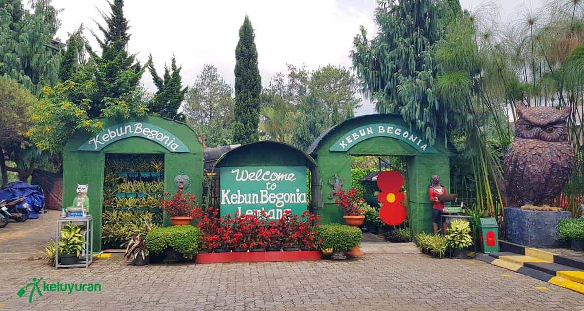 Gerbang Bunga, Wahana dan Spot Menarik di Taman Begonia Lembang, Harga Tiket dan Jam Operasional, Fasilitas di Taman Begonia Lembang, Alamat dan Akses Transportasi Taman Begonia Lembang, Hotel di Sekitar Taman Begonia Lembang