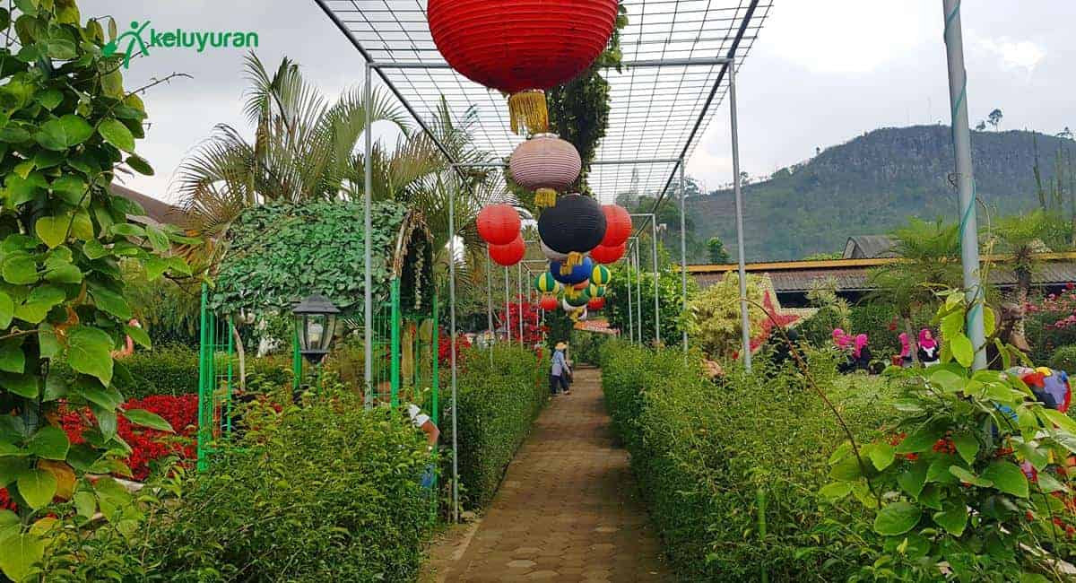 Fasilitas di Taman Begonia Lembang, Wahana dan Spot Menarik di Taman Begonia Lembang, Harga Tiket dan Jam Operasional, Fasilitas di Taman Begonia Lembang, Alamat dan Akses Transportasi Taman Begonia Lembang, Hotel di Sekitar Taman Begonia Lembang