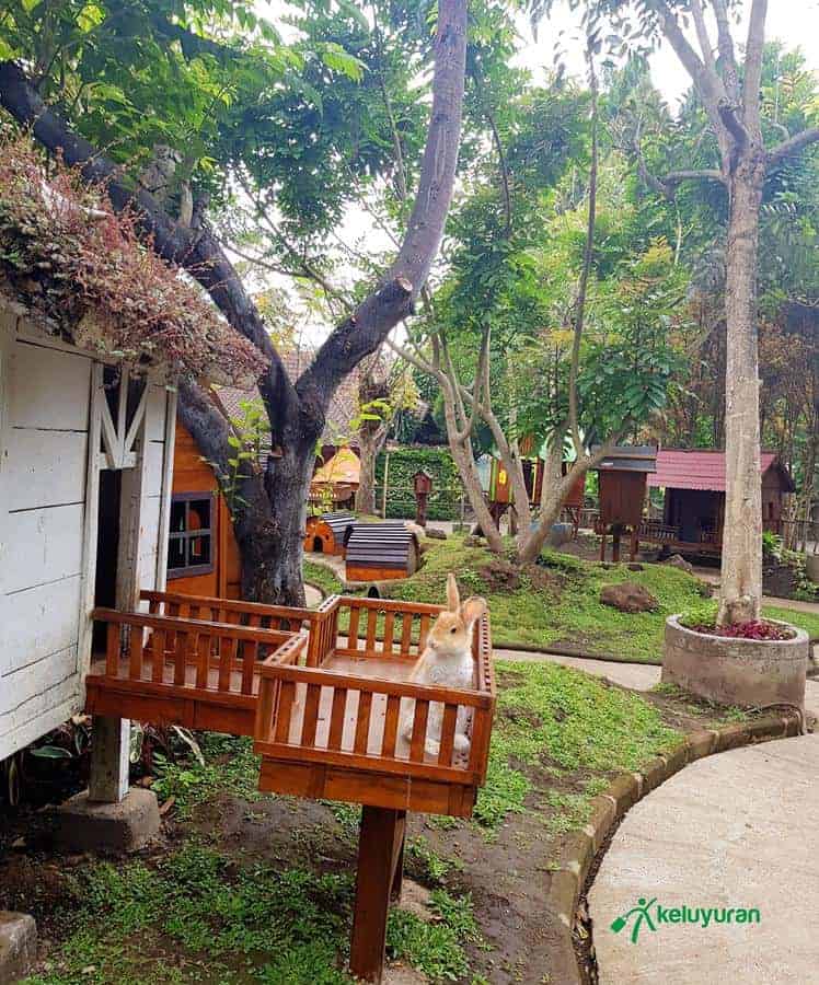 Taman Kelinci, Wahana dan Spot Populer di Floating Market, Harga Tiket dan Jam Operasional Floating Market, Fasilitas di Floating Market, Alamat dan Akses Transportasi ke Floating Market, Hotel dan Penginapan Sekitar Floating Market Lembang
