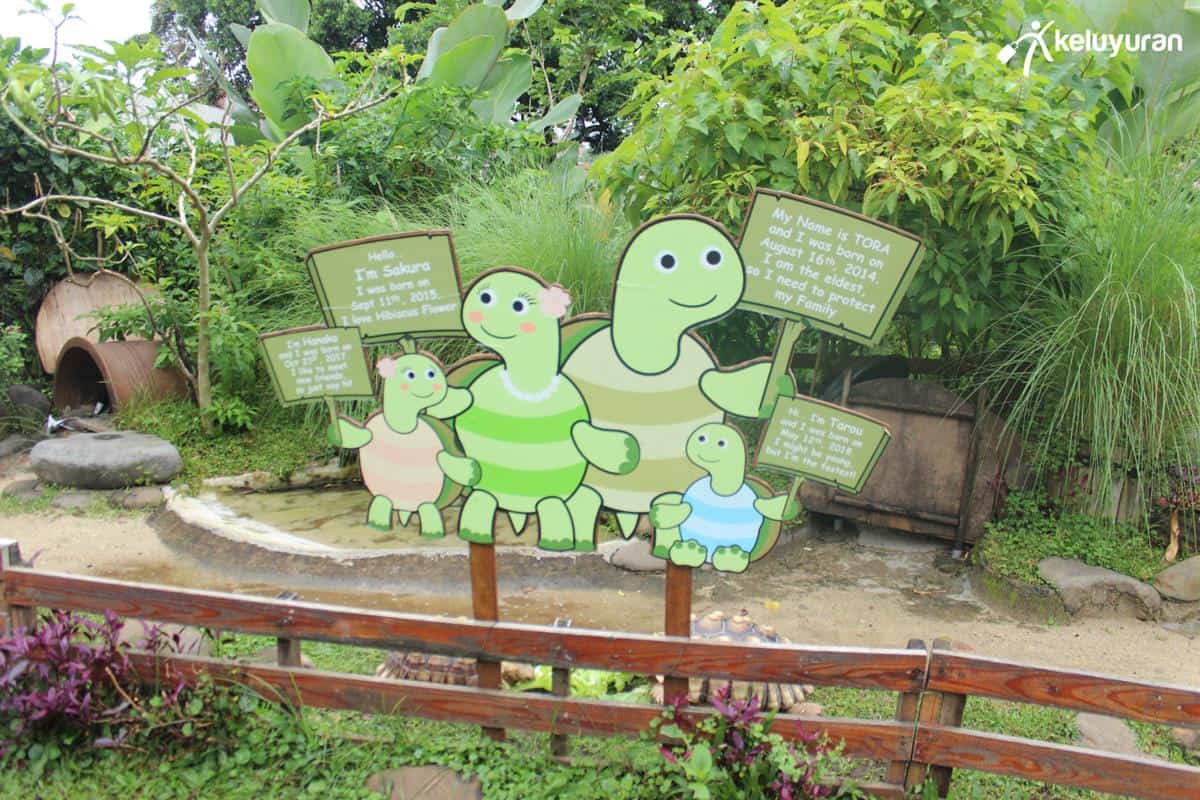 Nara Park_Kura-kura, Wahana atau Spot Populer, Harga Tiket dan Jam Operasional, Makanan & Minuman, Fasilitas, Alamat dan Akses Transportasi, Hotel di Sekitar Nara Park