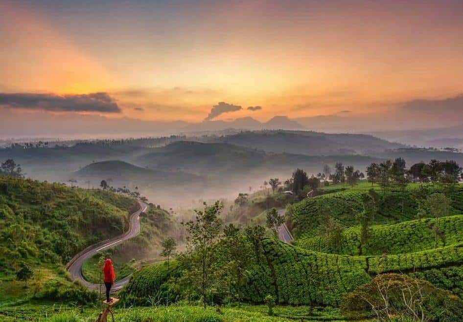 Fasilitas, Spot Populer, Fasilitas, Harga Tiket Masuk dan Jam Operasional, Alamat dan Akses Transportasi, Penginapan di Sekitar Sunrise Point Cukul