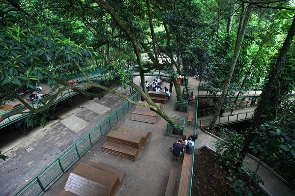 Fasilitas Forest Walk Babakan Siliwangi, Spot Menarik, Fasilitas Forest Walk Babakan Siliwangi, Tiket Masuk dan Jam Operasional, Alamat dan Akses Transportasi, Hotel di Sekitar Forest Walk Babakan Siliwangi
