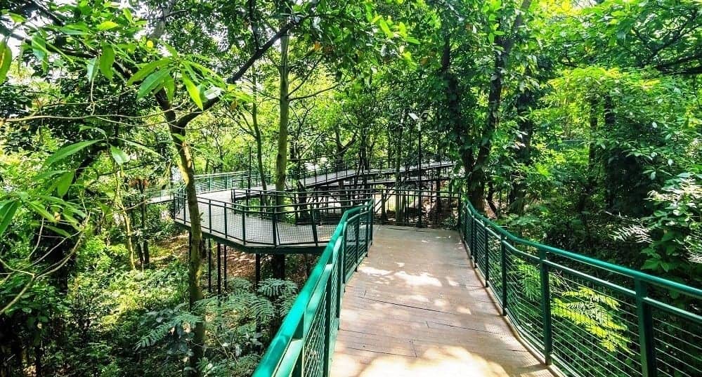 Forest Walk, Spot Menarik, Fasilitas Forest Walk Babakan Siliwangi, Tiket Masuk dan Jam Operasional, Alamat dan Akses Transportasi, Hotel di Sekitar Forest Walk Babakan Siliwangi