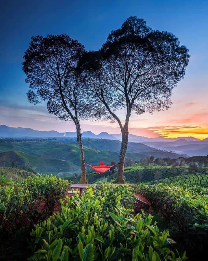 Hammocking, Spot Populer, Fasilitas, Harga Tiket Masuk dan Jam Operasional, Alamat dan Akses Transportasi, Penginapan di Sekitar Sunrise Point Cukul