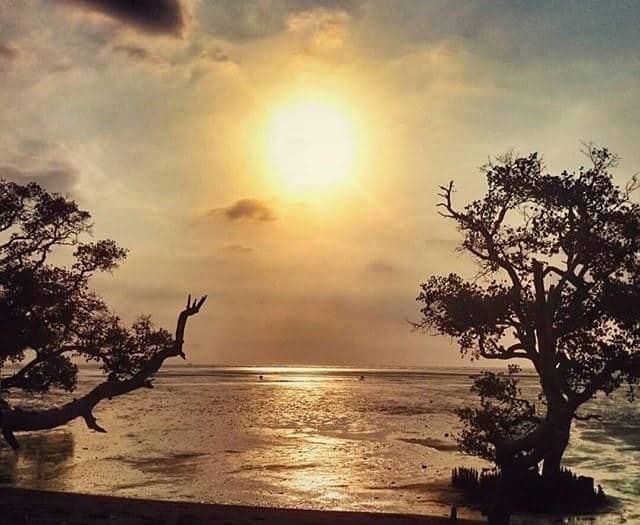 Pantai Tambak Sari, 1. Pantai Mayangan, 2. Pantai Bentar, 3. Pantai Duta, 4. Pantai Tambak Sari, 5. Pantai BJBR, 6. Pantai Goa Kucing, 7. Pantai Pasir Putih, 8. Pantai Taman Nemo Gili Ketapang