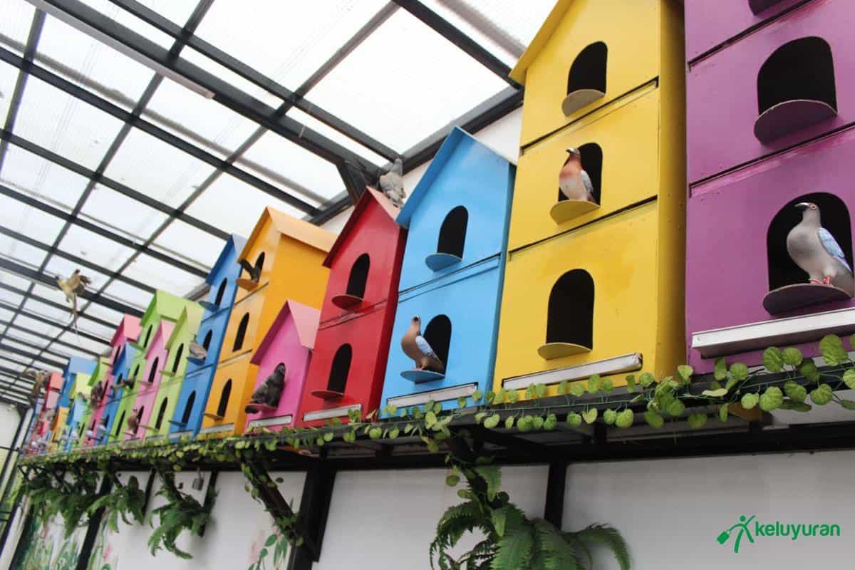 Rabbit Town_1, Wahana dan Spot Menarik Rabbit Town, Harga Tiket dan Jam Operasional, Fasilitas di Rabbit Town, Alamat dan Akses Transportasi, Hotel di Sekitar Rabbit Town