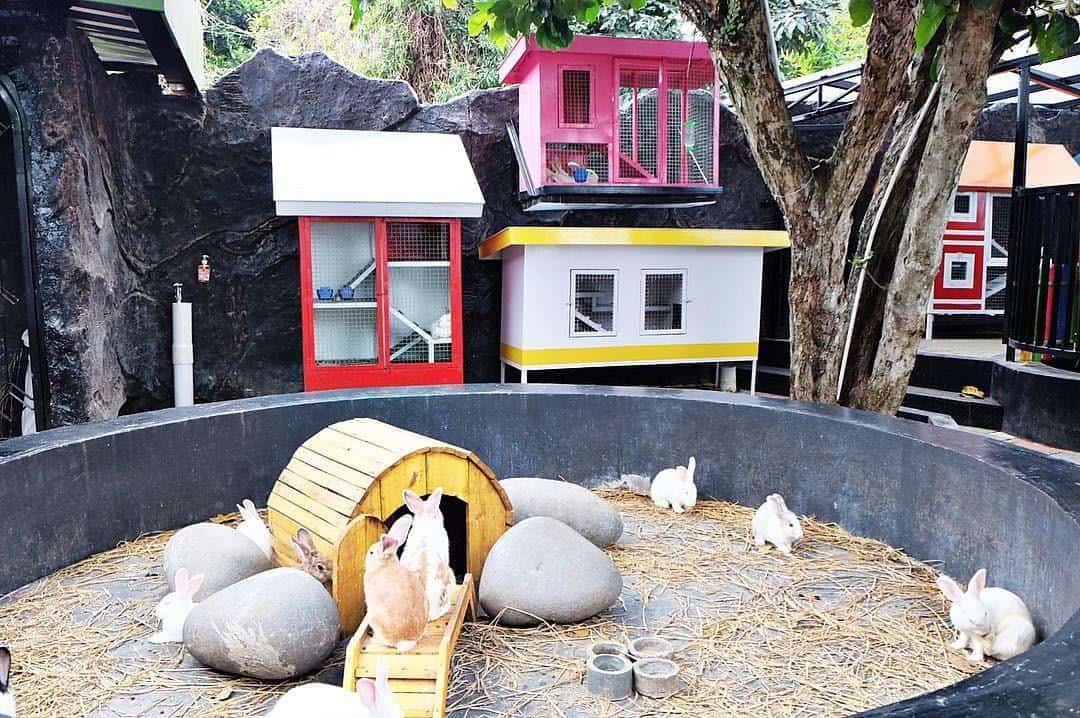 Rabbit Villa, Wahana dan Spot Menarik Rabbit Town, Harga Tiket dan Jam Operasional, Fasilitas di Rabbit Town, Alamat dan Akses Transportasi, Hotel di Sekitar Rabbit Town