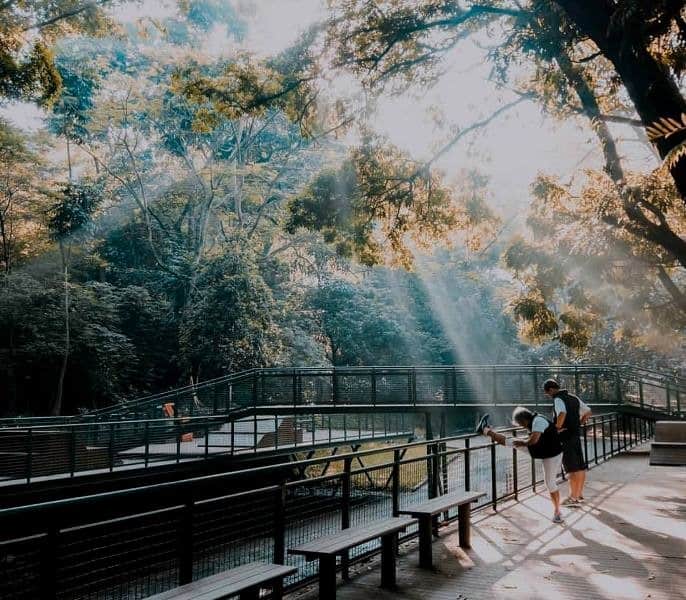 Spot Menarik, Spot Menarik, Fasilitas Forest Walk Babakan Siliwangi, Tiket Masuk dan Jam Operasional, Alamat dan Akses Transportasi, Hotel di Sekitar Forest Walk Babakan Siliwangi