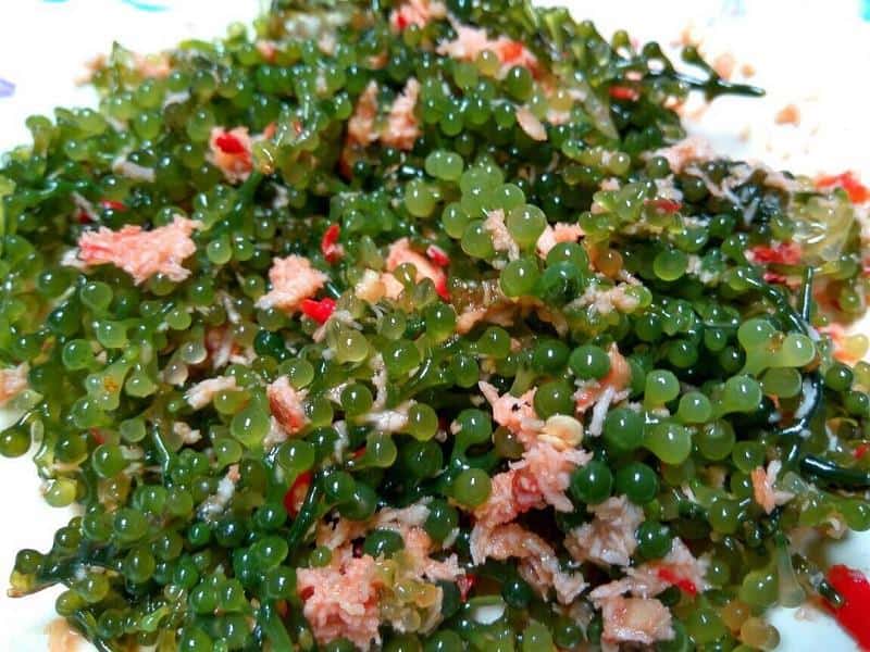 Urap Latoh, 1. Lontong Tuyuhan, 2. Sate Srepeh, 3. Kelo Mrico, 4. Urap Latoh, 5. Asem-Asem Sapi, 6. Soto Rembang, 7. Telur Rajungan, 8. Sayur Mangut, 9. Jadah, 10. Dumbeg