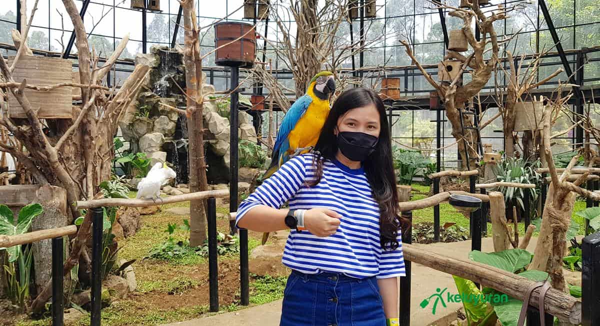 Bird Aviary, Wahana dan Spot Populer, Harga Tiket Masuk & Jam Operasional Lembang Park & Zoo, Fasilitas, Alamat dan Akses Transportasi, Hotel di Sekitar Lembang Park and Zoo