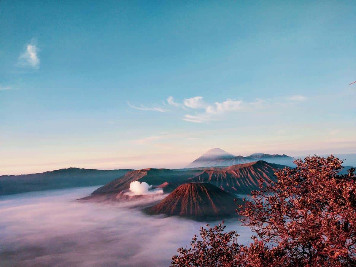 Gunung Bromo, 1. Bukit Kembang Puncak Sari, 2. Air Terjun Purba Tirai Bidadari, 3. Pantai Bentar, 4. Mahoni Grand Park, 5. Air Terjun Madakaripura, 6. Candi Jabung, 7. Ranu Agung, 8. Gunung Argopuro, 9. Gunung Bromo, 10. Gili Ketapang