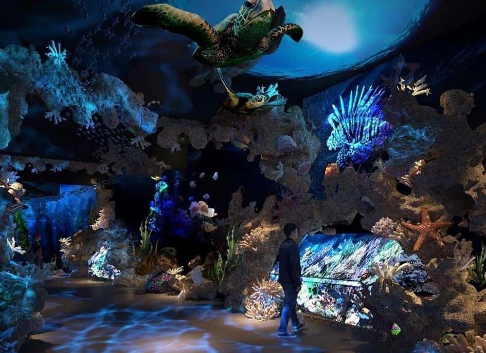 Jakarta Aquarium, 1. Kota Tua Jakarta, 2. Museum Bank Indonesia, 3. Museum Wayang, 4. Museum MACAN, 5. Chinatown, 6. Jakarta Aquarium, 7. Magic Art 3D Museum Jakarta, 8. Gedung Arsip Nasional, 9. Taman Cattleya, 10. Museum Sejarah Jakarta