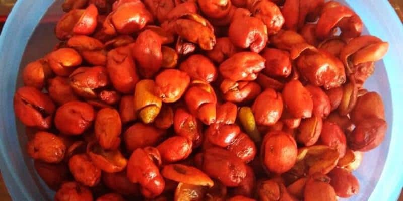 Kerupuk Kulit Melinjo, 1. Bolu Rahayu, 2. Jenang Candi, 3. Madu Mongso, 4. Kerupuk Lempeng, 5. Carang Mas atau Walangan, 6. Jadah, 7. Emping Belinjo, 8. Kerupuk Kulit Melinjo, 9. Jerangking, 10. Manisan Kulit Jeruk