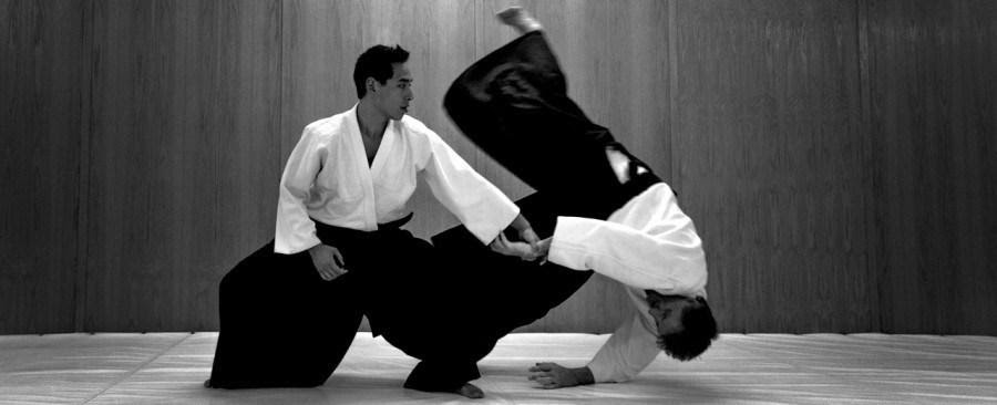 Aikido, 2. Aikido, 3. Ninjutsu, 4. Kendo, 5. Kyudo, 6. Shorinji Kempo, 7. Yabusame, 8. Taido, 9. Iaido