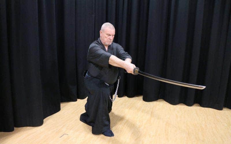 Iaido, 2. Aikido, 3. Ninjutsu, 4. Kendo, 5. Kyudo, 6. Shorinji Kempo, 7. Yabusame, 8. Taido, 9. Iaido