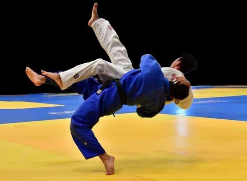 Judo, 2. Aikido, 3. Ninjutsu, 4. Kendo, 5. Kyudo, 6. Shorinji Kempo, 7. Yabusame, 8. Taido, 9. Iaido