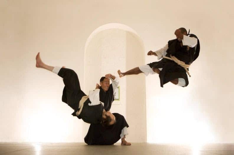 Shorinji Kempo, 2. Aikido, 3. Ninjutsu, 4. Kendo, 5. Kyudo, 6. Shorinji Kempo, 7. Yabusame, 8. Taido, 9. Iaido