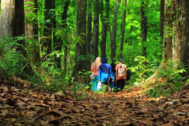 Hutan Lindung Sesaot, 1. Pantai Senggigi, 2. Desert Point Bangko-Bangko, 3. Pantai Mekaki, 4. Pantai Nambung, 5. Gili Kedis, 6. Taman Narmada, 7. Gili Gede, 8. Gili Nanggu, 9. Hutan Lindung Sesaot