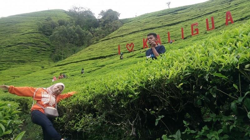 Agrowisata Kaligua, 1. Ranto Canyon, 2. Curug Putri, 3. Agrowisata Kaligua, 4. Agrowisata Besaran Hijau Pabrik Gula Jatibarang, 5. Bukit Panenjoan Salem, 6. Taman Mangrove Pandansari, 7. Kalibaya Park, 8. Curug Rambukasang, 9. Waduk Penjalin, 10. Telaga Ranjeng