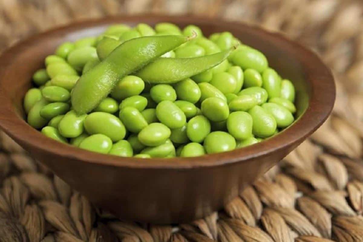 Edamame, 1. Pia Tape, 2. Permen Suwar Suwir, 3. Edamame, 4. Prol Tape, 5. Jenang Waluh, 6. Tape Manis Sekar Madu, 7. Brownies Tape, 8. Kopi Rengganis Jember, 9. Cerutu Jember, 10. Batik Jember
