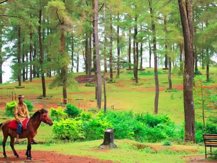 Hutan Pinus Malino, 1. Hutan Pinus Malino, 2. Air Terjun Ketemu Jodoh, 3. Malino Highlands, 4. Air Terjun Takapala, 5. Lembah Hijau Camp &amp; Resort, 6. Air Terjun Parangloe, 7. Museum Balla Lompoa, 8. Lembah Ramma, 9. Danau Tanralili, 10. Lembah Biru