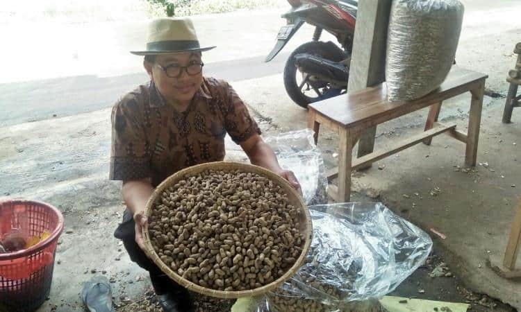 Kacang Cisoka, 1. Bolu Tape Benteng, 2. Emping Menes, 3. Dodol Ny. Lauw, 4. Kue Gipang, 5. Dodol Cilenggang, 6. Kacang Cisoka, 7. Bontot, 8. Kecap Benteng Cap SH, 9. Sate Bandeng, 10. Kue Keranjang Goreng Tepung