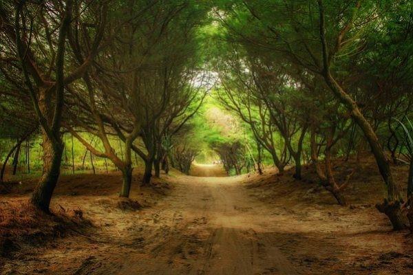 Pantai Cemara Sewu, 1. Puncak Becici, 2. Kebun Buah Mangunan, 3. Jurang Tembelan Kanigoro, 4. Seribu Batu Songgo Langit, 5. Air Terjun Lepo Dlingo, 6. Jurang Pulosari, 7. Pantai Parangtritis, 8. Gumuk Pasir Parangkusumo, 9. Bukit Panguk Kediwung, 10. Pantai Cemara Sewu