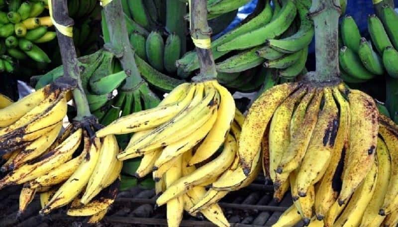 Pisang Agung, 1. Kue Lupis, 2. Tape Pisang, 3. Keripik Pisang, 4. Pisang Agung, 5. Keripik Nangka, 6. Keripik Ketela Ungu, 7. Keripik Talas, 8. Keripik Tempe, 9. Kue Latok, 10. Ketan Koro