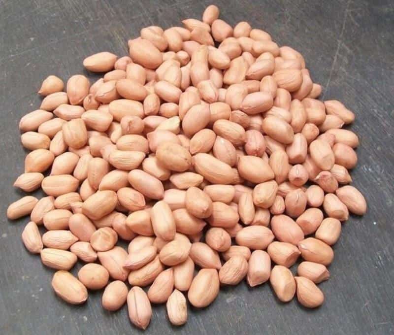 Kacang Khas Pati, 1. Sarang Madu, 2. Kacang Khas Pati, 3. Jeruk Pamelo, 4. Bandeng Presto, 5. Getuk Lopis, 6. Kue Moho, 7. Kerupuk Ampo, 8. Kerupuk Daging, 9. Telur Lurik, 10. Getuk Runting
