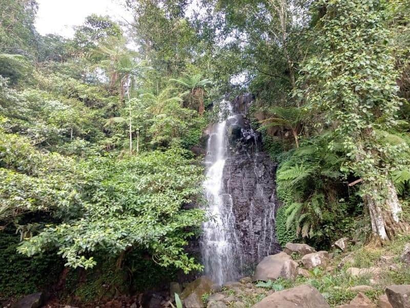 Curug Cipurut, 1. Curug Tilu, 2. Curug Cimata Indung, 3. Curug Cipurut, 4. Curug Suhada, 6. Curug Ciseoh, 7. Curug Ponggang, 8. Curug Mahrom