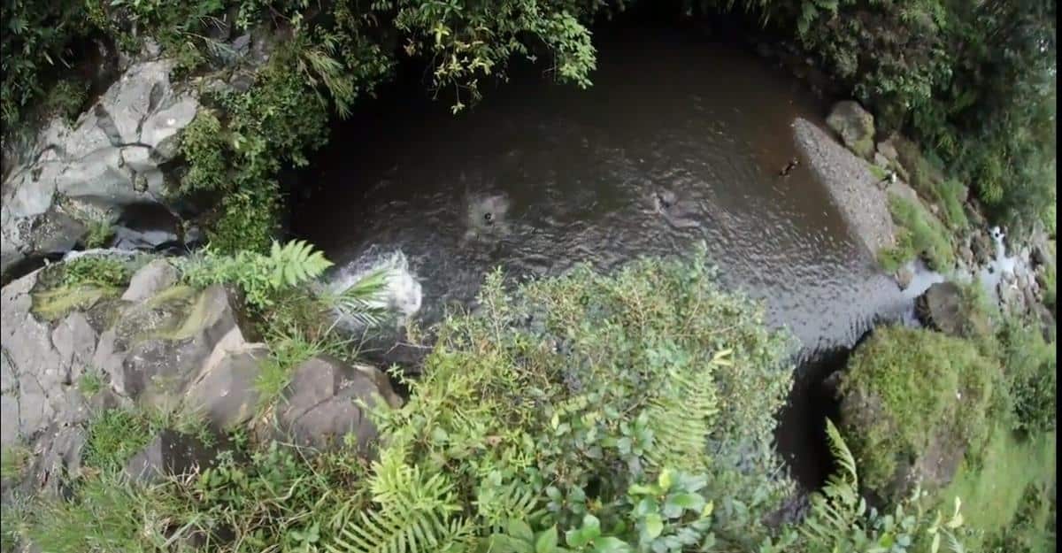 Curug Urang, 1. Curug Ceheng, 2. Curug Bayan, 3. Curug Carang, 4. Curug Lawang, 5. Curug Kembar, 6. Curug Urang, 7. Curug Gomblang, 8. Curug Belot, 9. Curug Cipendok, 10. Curug Nangga