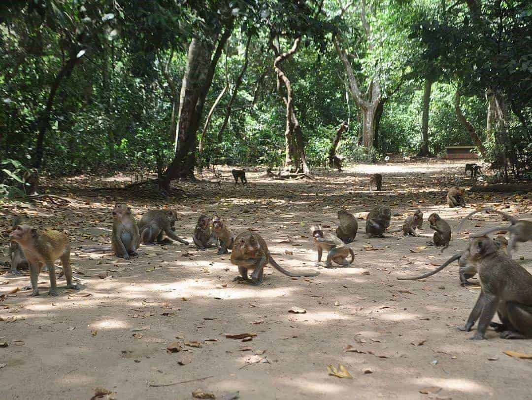 Hutan Kera Nepa, 1. Pantai Hutan Kera Nepa, 2. Gua Lebar Sampang, 3. Air Terjun Toroan, 4. Bukit Masegit, 5. Pantai Biru Camplong, 6. Makam Ratu Ibu, 7. Hutan Kera Nepa, 8. Pulau Mandangin, 9. Pantai Jodoh, 10. Masjid Agung Nipah