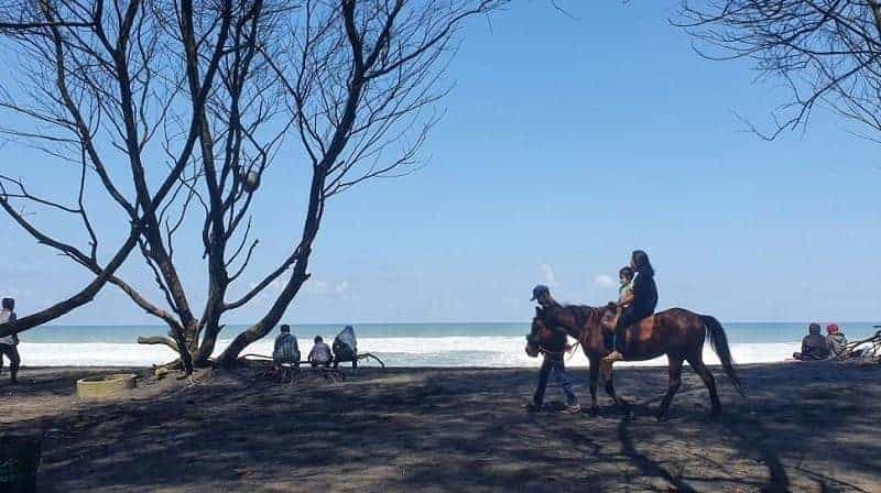 Pantai Goa Cemara, 1. Pantai Parangkusumo, 2. Pantai Samas, 3. Pantai Kuwaru, 4. Pantai Goa Cemara, 5. Pantai Depok, 6. Pantai Cemara Sewu, 7. Pantai Baros, 8. Pantai Barchan, 9. Pantai Pandansimo, 10. Pantai Pandansari