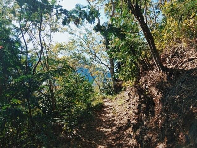 Pendakian ke Wae Rebo, 1. Lokasi Kampung Adat Wae Rebo, 2. Mbaru Niang, 3. Upacara Adat, 4. Suku Asli Wae Rebo, 5. Penghasil Kopi dan Tenun, 6. Pendakian ke Wae Rebo, 7. Tips Mengunjungi Wae Rebo