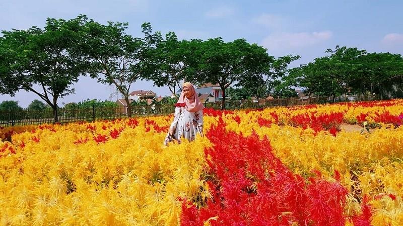 Taman Bunga Celosia, 1. Desa Wisata Rahtawu, 3. Seribu Tangga Semliro, 4. Desa Wisata Wonosoco, 5. Taman Bunga Celosia, 6. Air Tiga Rasa Rejenu, 7. Puncak 29, 8. Desa Wisata Jurang Gebog, 9. Air Terjun Montel, 10. Air terjun Watu Gompeng