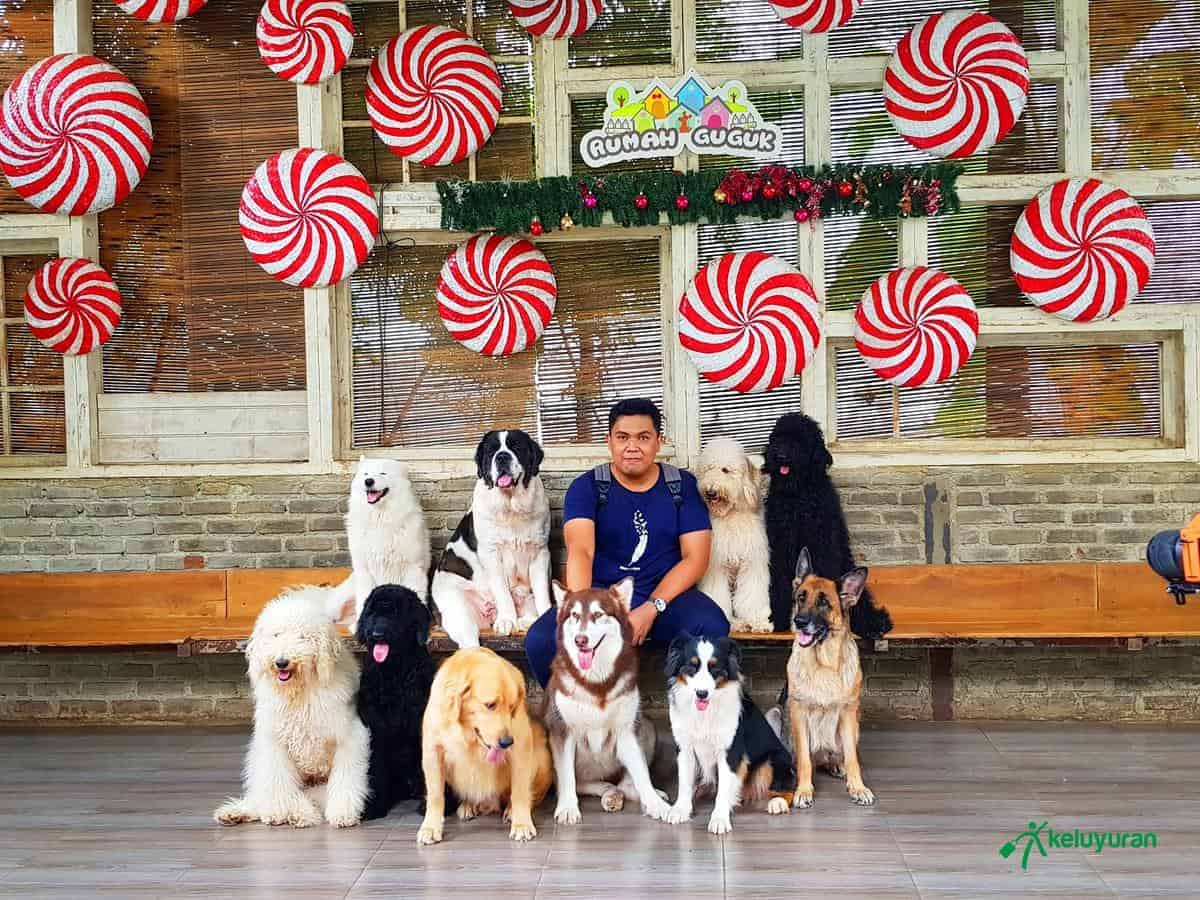 Rumah Anjing Besar, Wahana atau Spot Menarik di Rumah Guguk, Spot Foto, Fasilitas, Lokasi dan Akses Transportasi