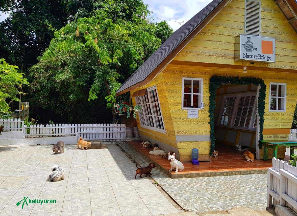 Rumah Anjing Kecil, Wahana atau Spot Menarik di Rumah Guguk, Spot Foto, Fasilitas, Lokasi dan Akses Transportasi