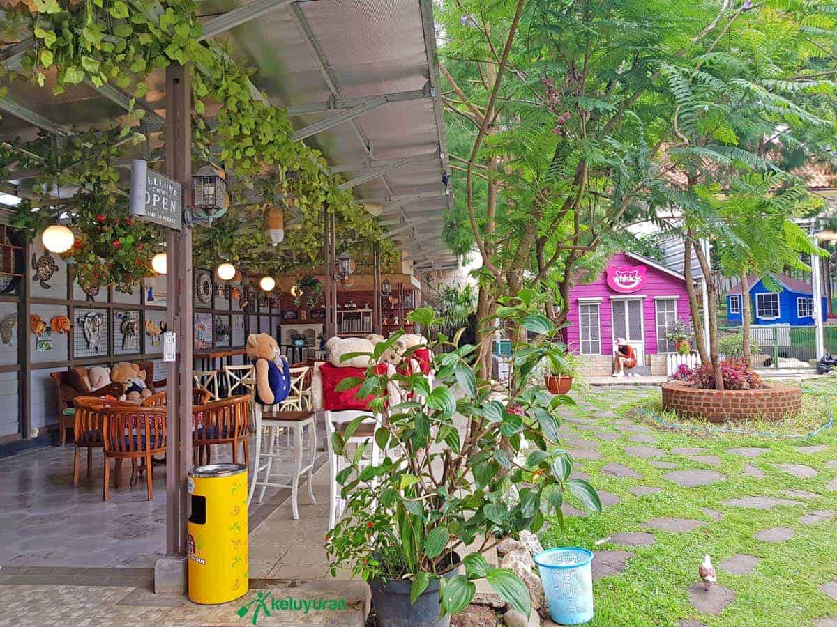 Kebunku, Wahana atau Spot Menarik di Rumah Guguk, Spot Foto, Fasilitas, Lokasi dan Akses Transportasi