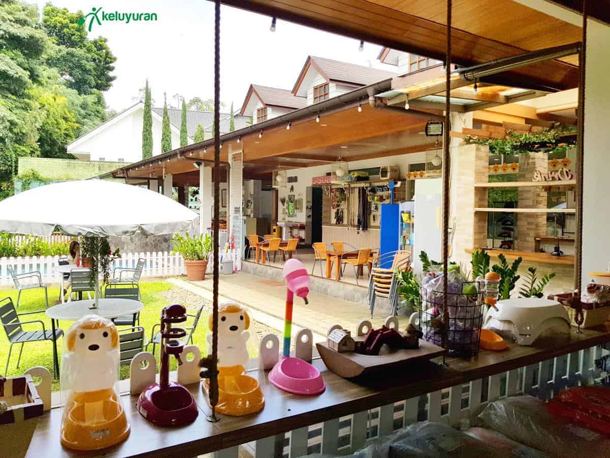 rumah guguk2, Wahana atau Spot Menarik di Rumah Guguk, Spot Foto, Fasilitas, Lokasi dan Akses Transportasi